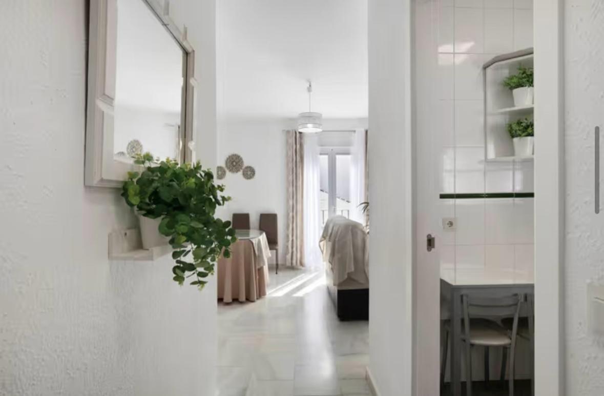 Cataleya Con Terraza Privada *